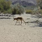 FITS_202 (May 04, 2019)